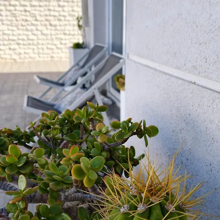 Semesterbostad Casa Rafa Villa, 4br Private Pool, Costa Adeje, Tenerife